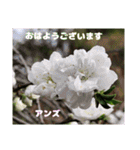 多くの花が 一気に開く山野草で おはようを（個別スタンプ：8）