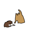 ミームどうぶつ（個別スタンプ：16）