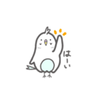 インコのスカート（個別スタンプ：1）