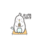 インコのスカート（個別スタンプ：10）