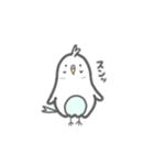 インコのスカート（個別スタンプ：13）