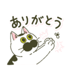 わかめスタンプ(時々ボブさん)（個別スタンプ：6）