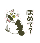 わかめスタンプ(時々ボブさん)（個別スタンプ：16）