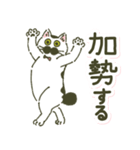 わかめスタンプ(時々ボブさん)（個別スタンプ：22）