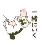 わかめスタンプ(時々ボブさん)（個別スタンプ：24）