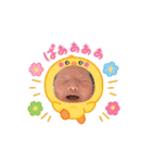 こたきち1（個別スタンプ：11）