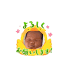 こたきち1（個別スタンプ：12）