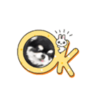 動くトミー（個別スタンプ：3）