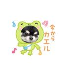 動くトミー（個別スタンプ：5）
