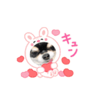 動くトミー（個別スタンプ：6）