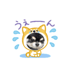 動くトミー（個別スタンプ：7）