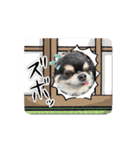 ボクとみお2（個別スタンプ：2）