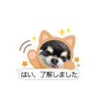 ボクとみお2（個別スタンプ：3）