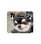 ボクとみお2（個別スタンプ：4）