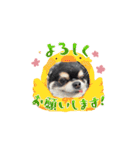 ボクとみお2（個別スタンプ：5）