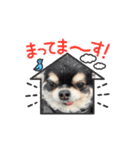 ボクとみお2（個別スタンプ：12）