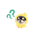 ボクとみお2（個別スタンプ：14）