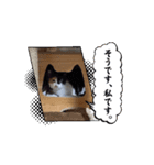 みこみこちゃっこ（個別スタンプ：4）