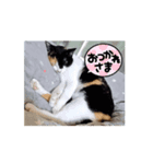 みこみこちゃっこ（個別スタンプ：7）