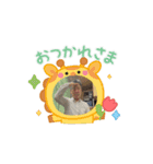 ゴン太が動く（個別スタンプ：6）
