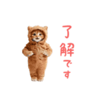 ▶︎踊るほんわかねこ♡（個別スタンプ：2）