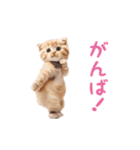 ▶︎踊るほんわかねこ♡（個別スタンプ：10）