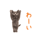 ▶︎踊るほんわかねこ♡（個別スタンプ：12）