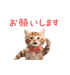 ▶︎踊るほんわかねこ♡（個別スタンプ：13）