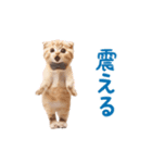 ▶︎踊るほんわかねこ♡（個別スタンプ：18）