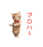 ▶︎踊るほんわかねこ♡（個別スタンプ：22）