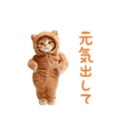 ▶︎踊るほんわかねこ♡（個別スタンプ：23）