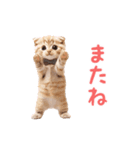 ▶︎踊るほんわかねこ♡（個別スタンプ：24）