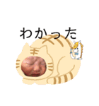 りくりくりっくくくんんんさん（個別スタンプ：28）