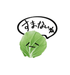 野菜スタンプリニューアル（個別スタンプ：7）