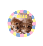 ange②（個別スタンプ：4）