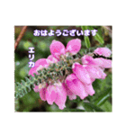 初春の山野草で 『おはようございます』（個別スタンプ：11）
