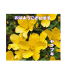 初春の山野草で 『おはようございます』（個別スタンプ：12）