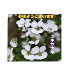 初春の山野草で 『おはようございます』（個別スタンプ：23）