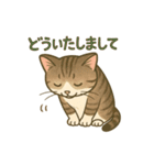 あやとジン（個別スタンプ：3）