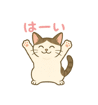 あやとジン（個別スタンプ：5）