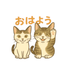 あやとジン（個別スタンプ：6）