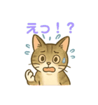 あやとジン（個別スタンプ：13）