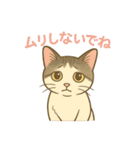 あやとジン（個別スタンプ：14）