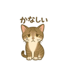 あやとジン（個別スタンプ：16）