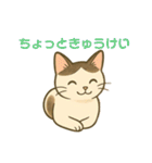 あやとジン（個別スタンプ：20）
