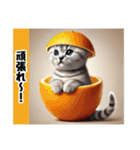ひょっこりにゃん‼️,,,,,,,,,,（個別スタンプ：20）