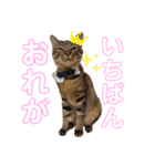れおちスタンプ。（個別スタンプ：4）