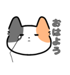 みけねこ（？）のスタンプ（個別スタンプ：5）