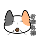 みけねこ（？）のスタンプ（個別スタンプ：16）