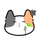 みけねこ（？）のスタンプ（個別スタンプ：40）